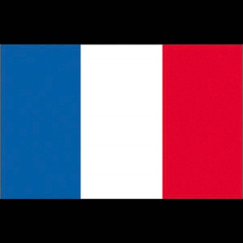 Bandiera francia 30x45 - bandiera, cm.30x45