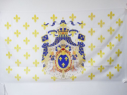 Bandiera regno francia - bandiera,