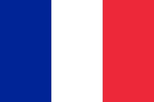 Bandiera francia 20x15 cm - francia,