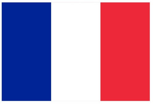Bandiera francia stickers - ,