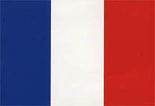 Bandiera francia 100x150 - bandiera,
