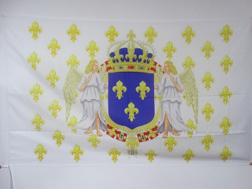 Bandiera regno francia - regno, di