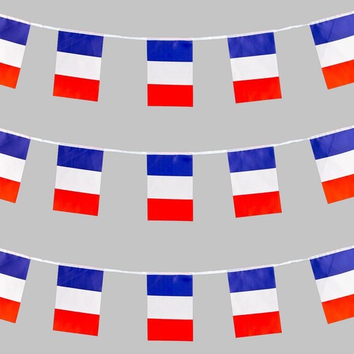 France bunting bandiere - bunting, 10
