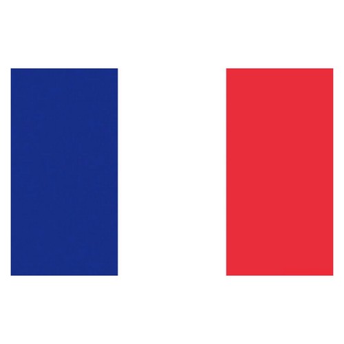 Bandiera francia cm - francia,